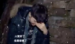 罗杰导演爆料白鹿视频,白鹿视频背后的故事