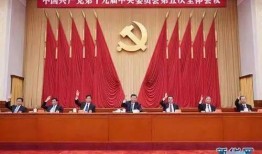 成武五中爆料新闻视频播放,揭秘校园背后故事